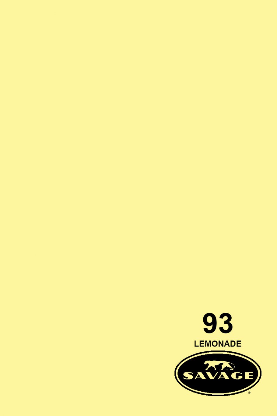 Savage 107" x 36' #93 Lemonade Seamless Background Paper
